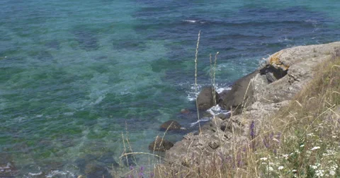 Wild Rocky Beach Video stock 68717509