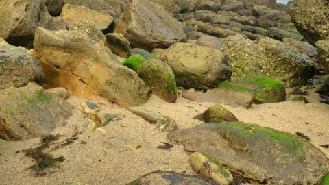 Wild rocky beach overcast at the cloudy day Stock Footage 95539136