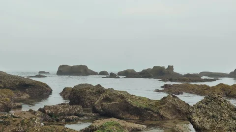 Wild rocky beach overcast at the cloudy day Vídeo Stock 95540482