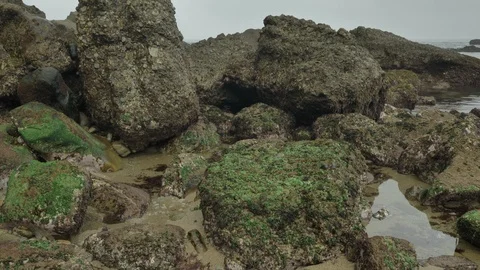 Wild rocky beach overcast at the cloudy day Stock Footage 95541969