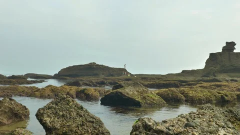 Wild rocky beach overcast at the cloudy day 動画素材 95542284