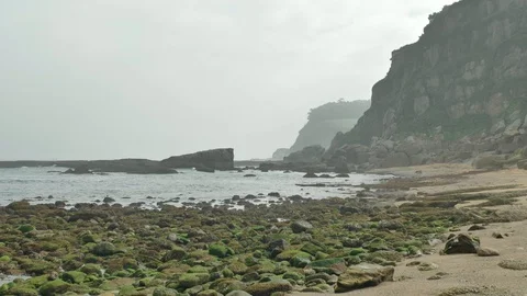Wild rocky beach overcast at the cloudy day Stock Footage 95542904
