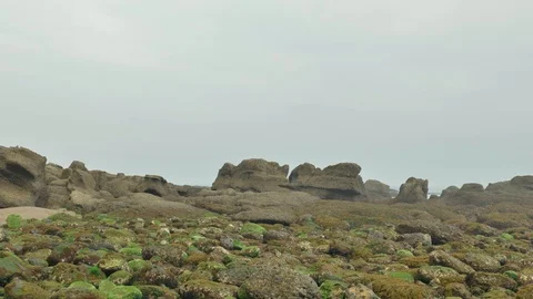 Wild rocky beach overcast at the cloudy day Vídeo Stock 95543435