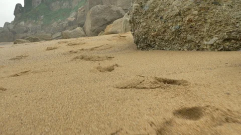 Wild rocky beach overcast at the cloudy day Stock Footage 95544543