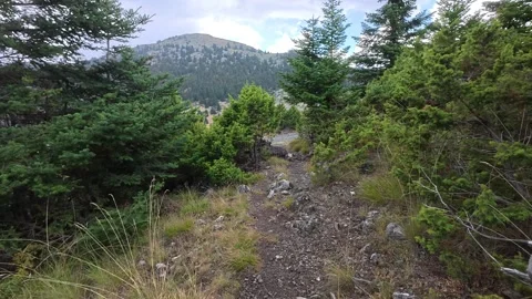 Wild Rocky Mountain Trail With Difficulty Sign in Alpine Fir Forest Rain Video stock 327560558
