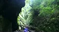 Wild rocky nature in rainforest 20110429 160715 HD Footage