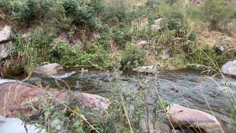 Wild Rocky Riverbed of Kastek River in Kazakhstan Stock Footage 342750187