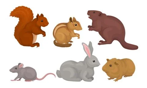 Wild Rodent Animals Set, Squirrel, Mouse, Beaver, Cavy, Rabbit, Chipmunk Vector Stock Illustration