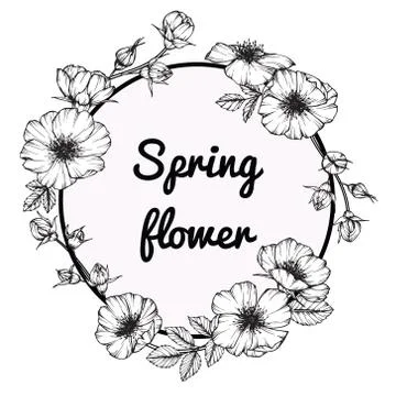 Wild rose flower frame drawing illustration.  Stock Illustration