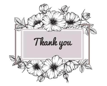 Wild rose flower frame drawing illustration.  Stock Illustration