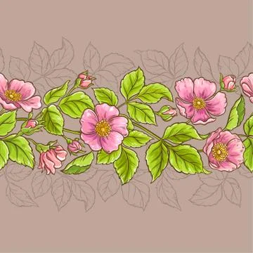 Wild rose flowers pattern Stock Illustration