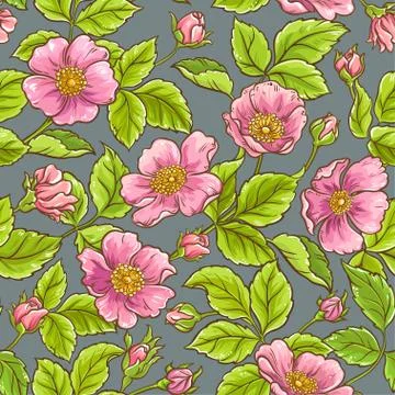 Wild rose flowers pattern Stock-Illustration