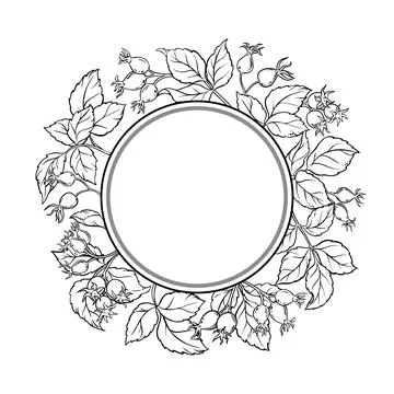 Wild Rose Outline Round Frame. Stock Illustration