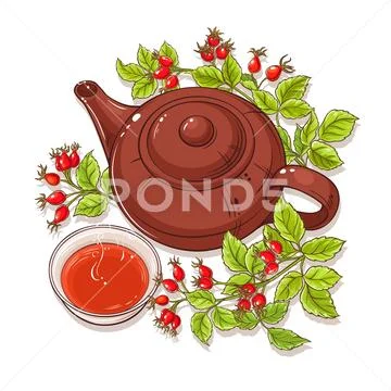Wild rose tea illustration Stock Illustration