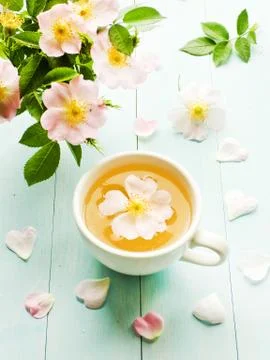 Wild rose tea Stock Photos
