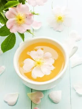 Wild rose tea Stock Photos
