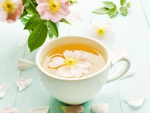 Wild rose tea Stock Photos