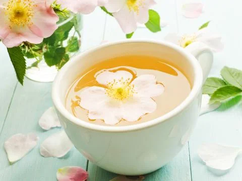 Wild rose tea Stock Photos