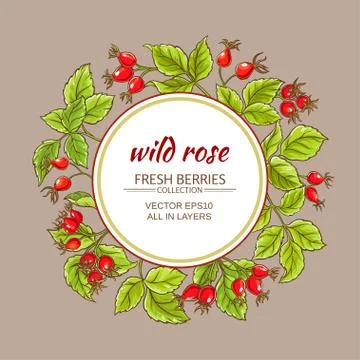 Wild rose vector frame Illustrazione stock