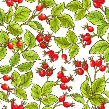 Wild rose vector pattern Stock Illustration