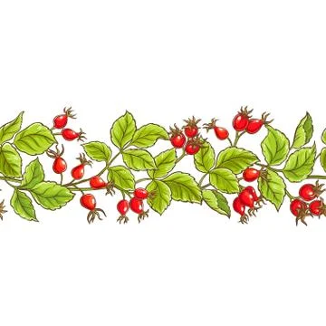 Wild rose vector pattern Illustrazione stock