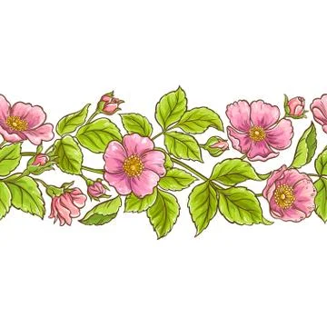 Wild rose vector pattern 스톡 일러스트