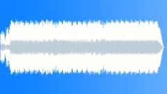 Wild Roses Stock Music