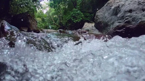 Wild rushing river, fresh crystal clear water splashes at camera, tropical Stock Footage 246903760