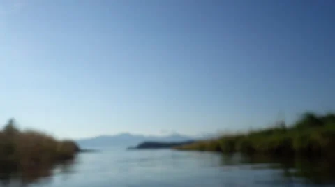 Wild salmon underwater diving Stock Footage 29367027