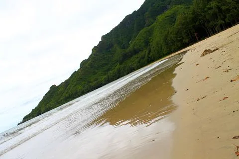 Wild sand beach Stock Photos