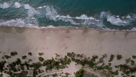 Wild sandy beach. Aerial view of a beach.  Drone top down view  Stock Footage 169044513