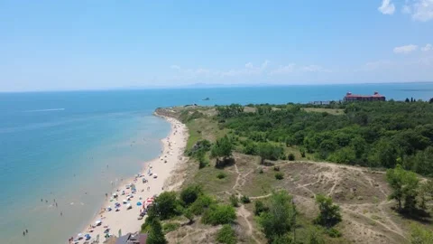 Wild sandy beach, dunes and green forest Stock Footage 341435213
