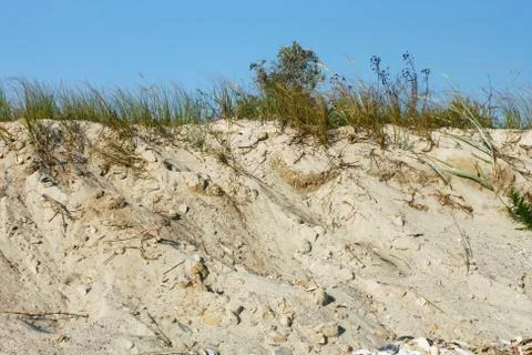 Wild sandy beach with grass Stock Photos