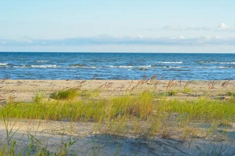 Wild sandy beach. Stock Photos