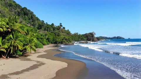 Wild scenic aerial view of pristine sandy beach with lush jungle and palm trees Stock Footage 154339671