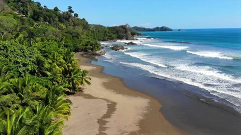 Wild scenic drone view of pristine sandy beach with lush jungle and palm trees Video stock 154339146
