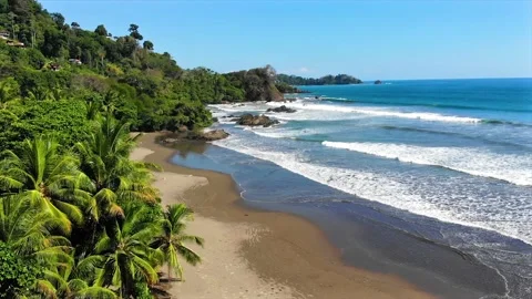 Wild scenic drone view of pristine sandy beach with lush jungle and palm trees Stock Footage 154339314