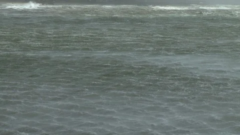 Wild Sea Tide and Wind Vidéo 118951953
