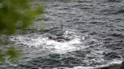 Wild sea waves Stock Footage 100898700