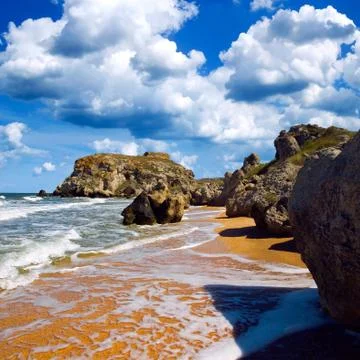 Wild seashore. Stock Photos