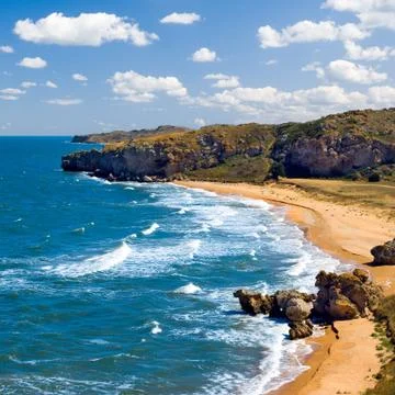 Wild seashore. Stock Photos