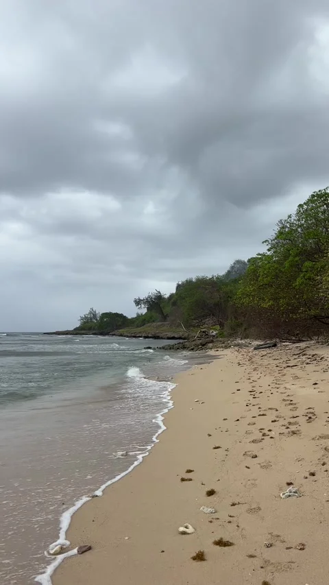 Wild Secluded Beach, Overcast Sky, North Barbados Stockbeeldmateriaal 338410614