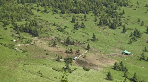 Wild Sheep Farm Stock Footage 64683031