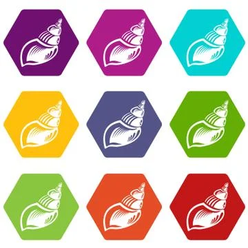 Wild shell icons set 9 vector Stockillustratie