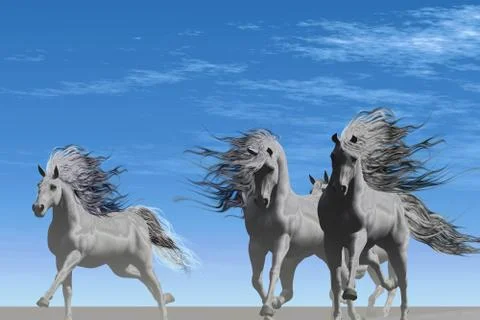 Wild side Stock Illustration