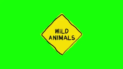 Wild sign animation on green screen Stock Footage 328899751