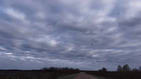 Wild sky before a snowfall Stock Footage 229980494