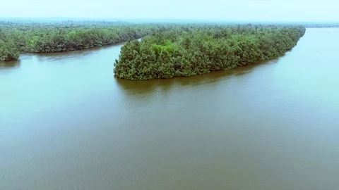 Wild small island in the Douala bay Vídeos de archivo 80937728