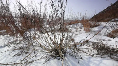 Wild snowfield Stock Footage 30443514