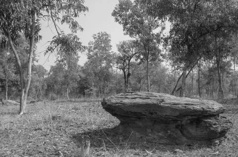 The wild stone Stock Photos